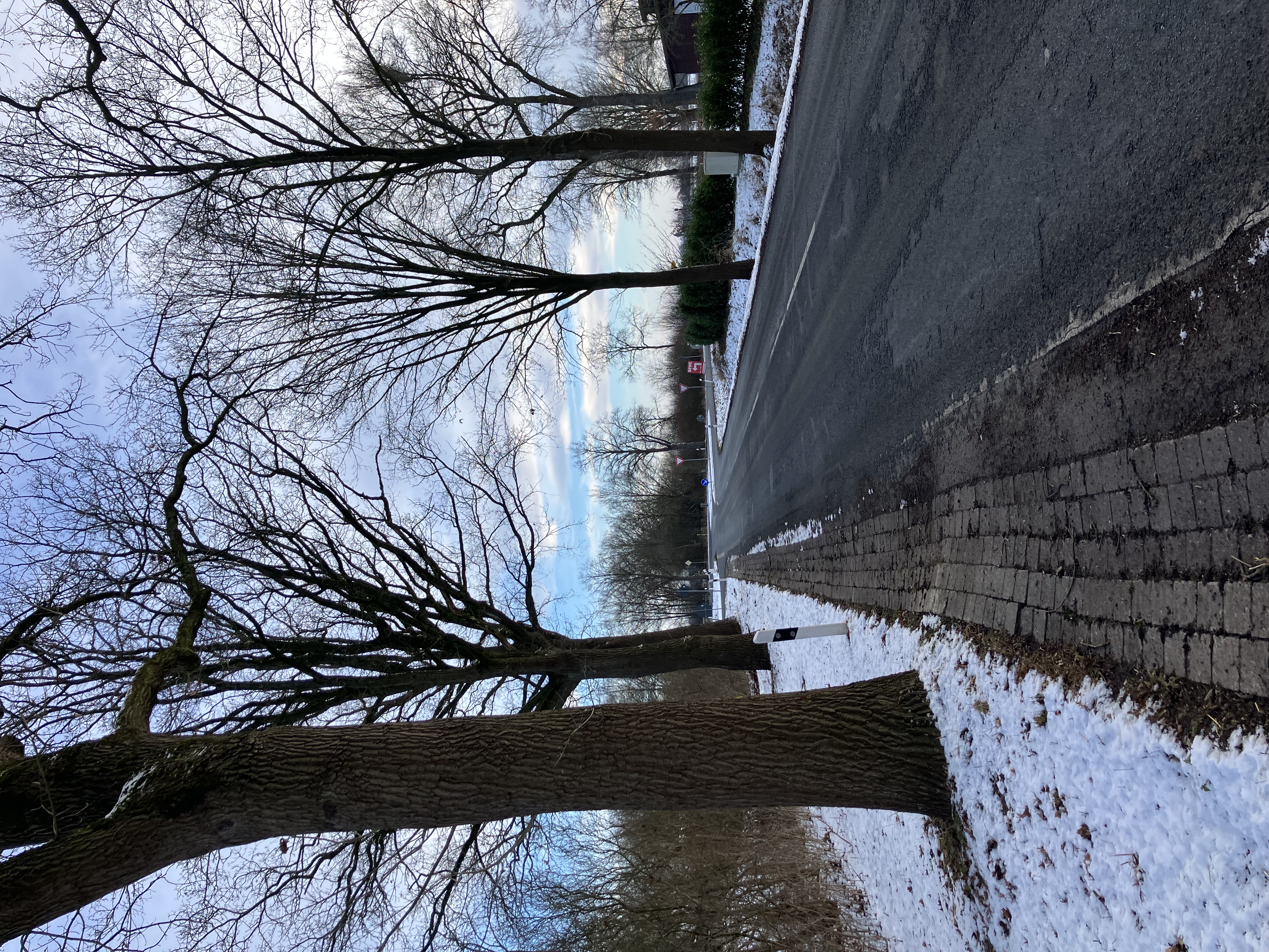 An den Fahrbahnrand sind Verdrückungen zu sehen. An den Fahrbahnrand sind Verdrückungen zu sehen.