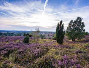 Gemeinsam für die Lüneburger Heide