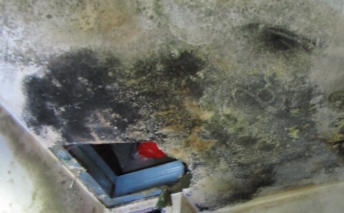 Schimmel ist an der Decke deutlich sichtbar. Schimmel ist an der Decke deutlich sichtbar.