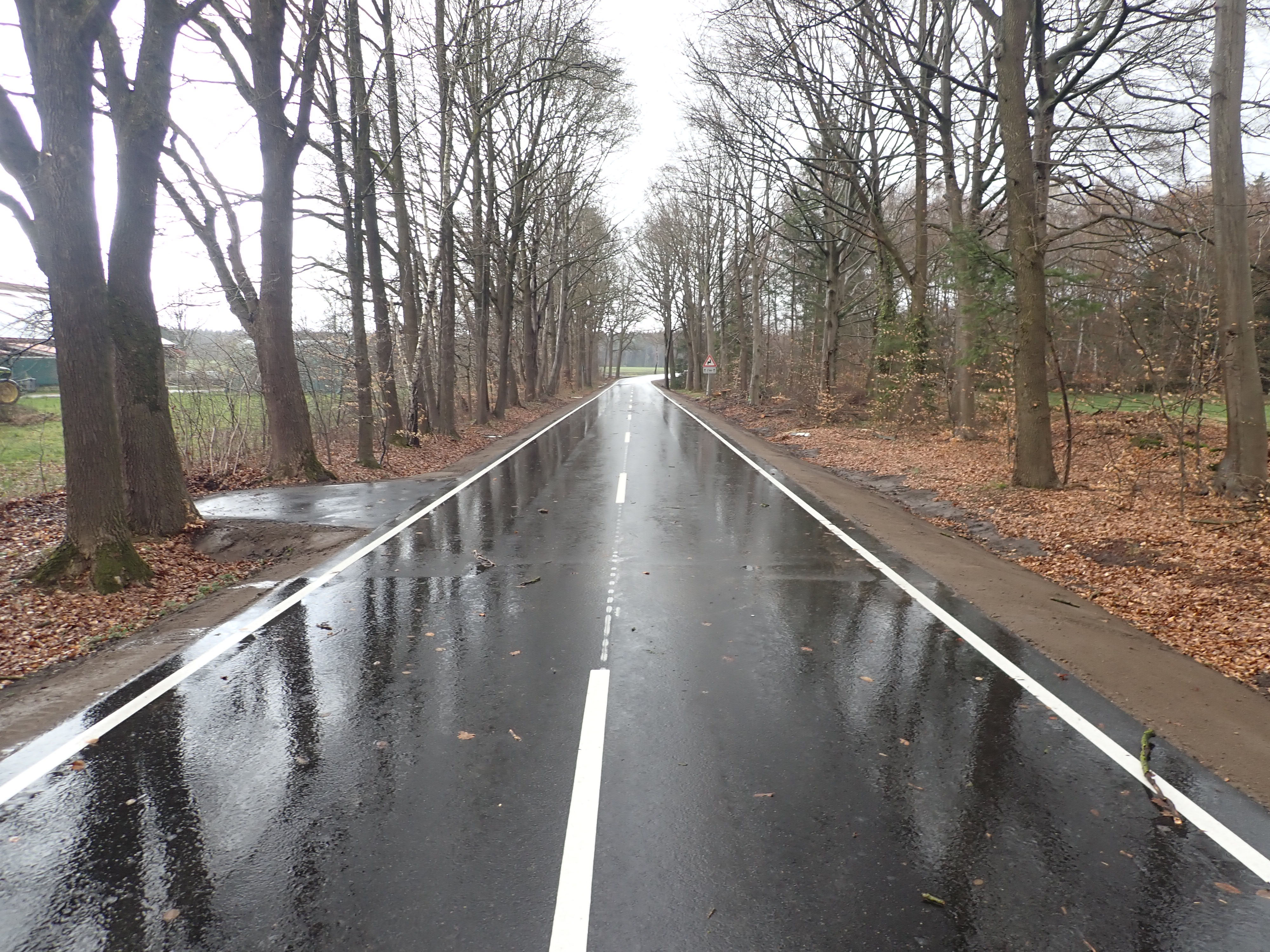 Die K 17a mit einer neuen Asphaltdecke und Markierungen