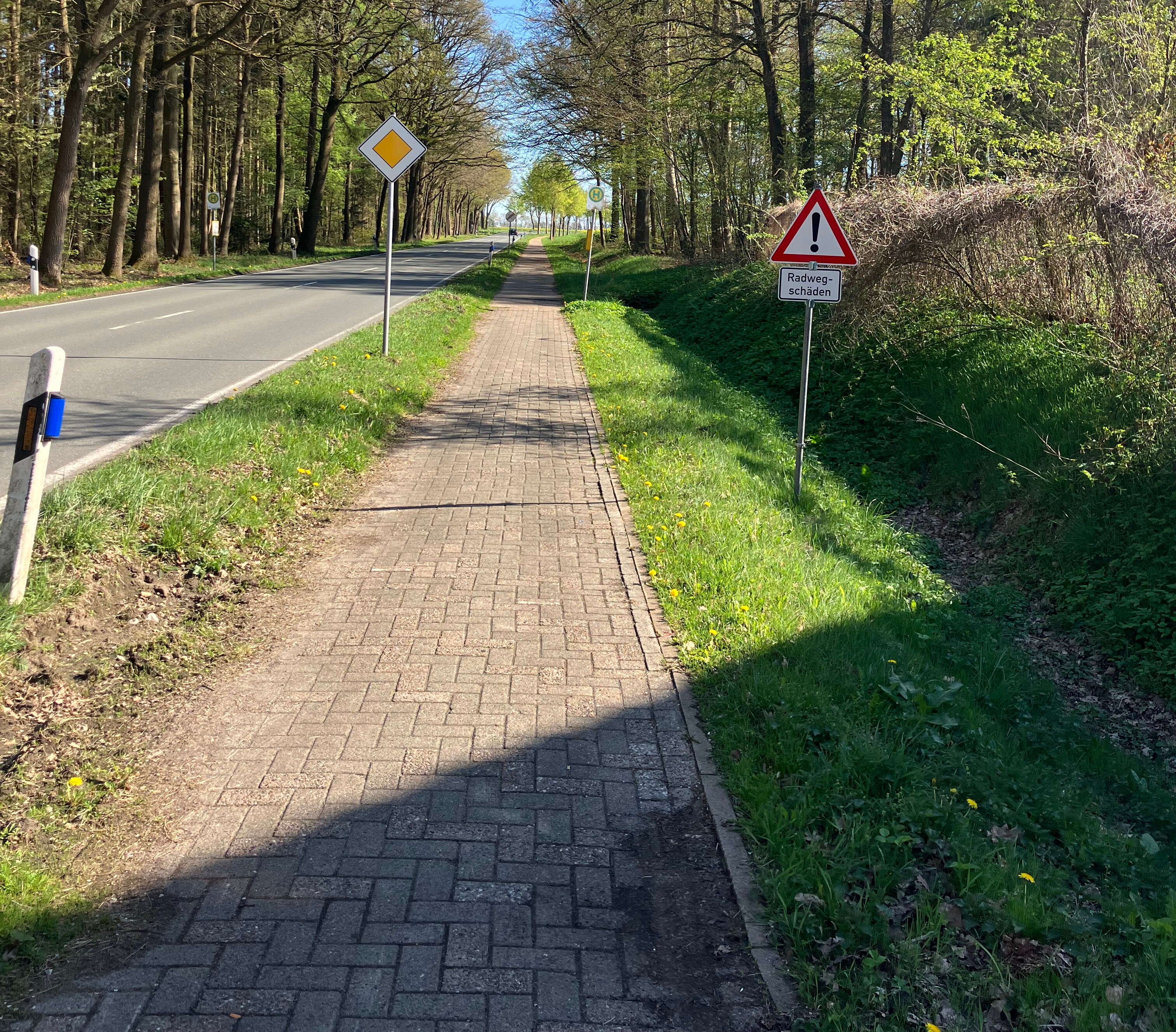 Der Radweg an der K 164 hat Risse, Abplatzungen und Verdrückungen.
