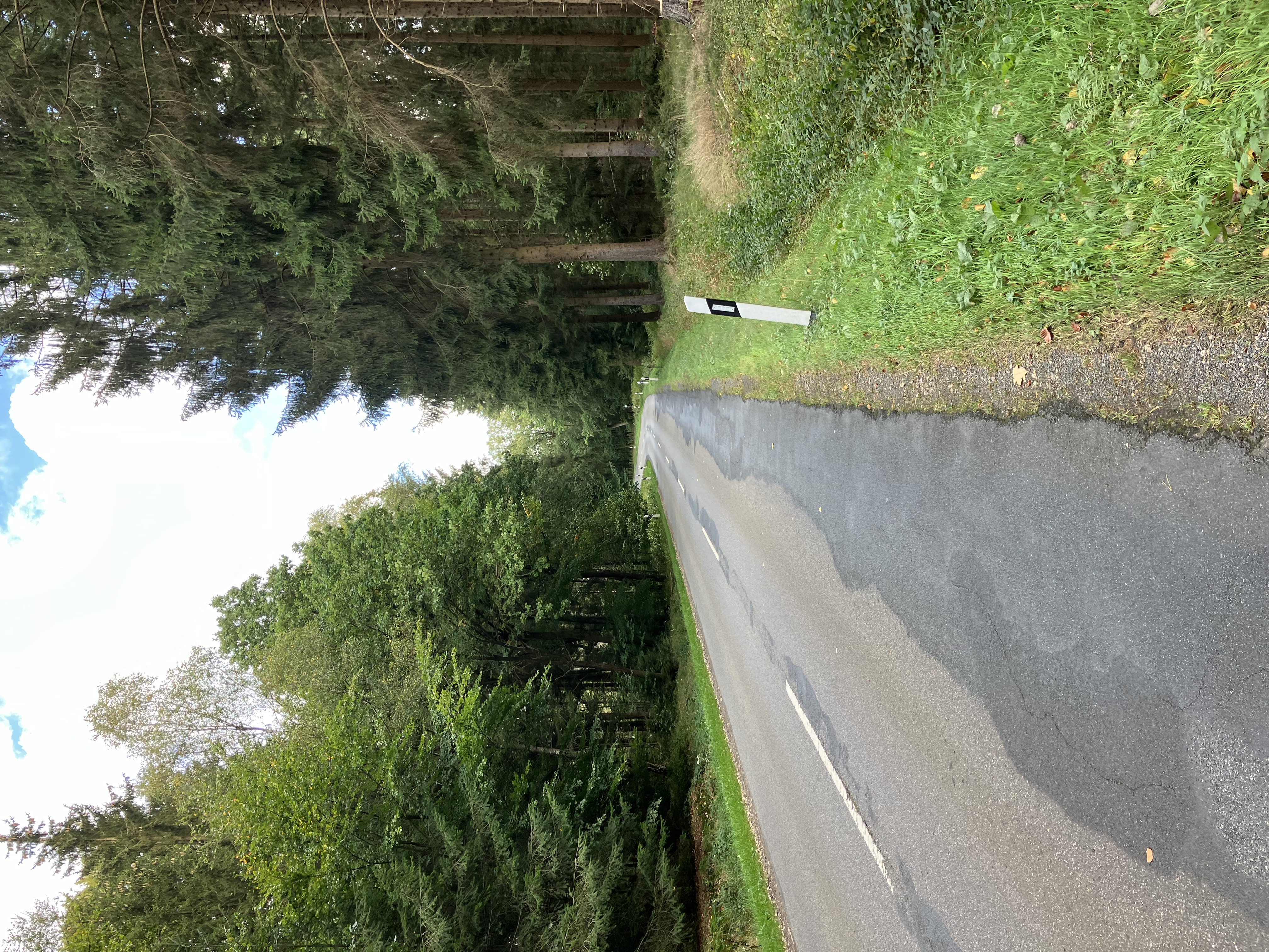 K 17 a - Kreisstraße mit Straßenschäden