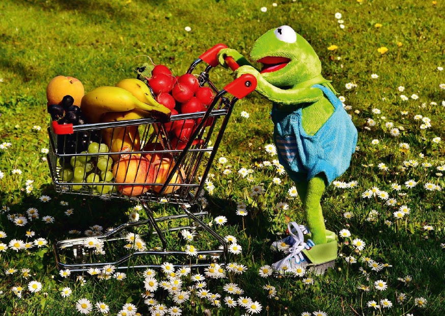 Kermit der Frosch schiebt einen Einkaufwagen. Kermit der Frosch schiebt einen Einkaufwagen.