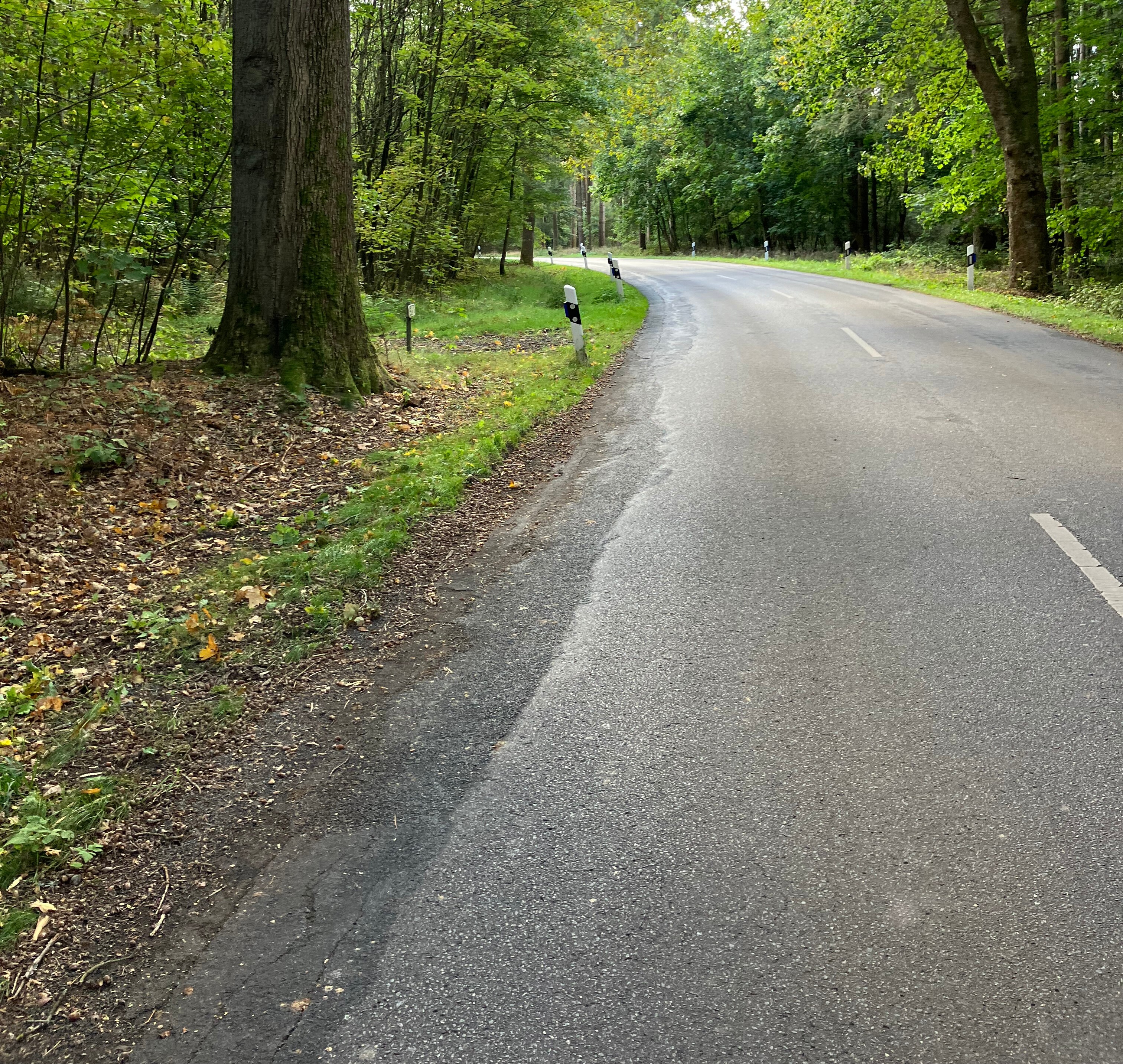 K 17 a - Kreisstraße mit deutlichen Straßenschäden