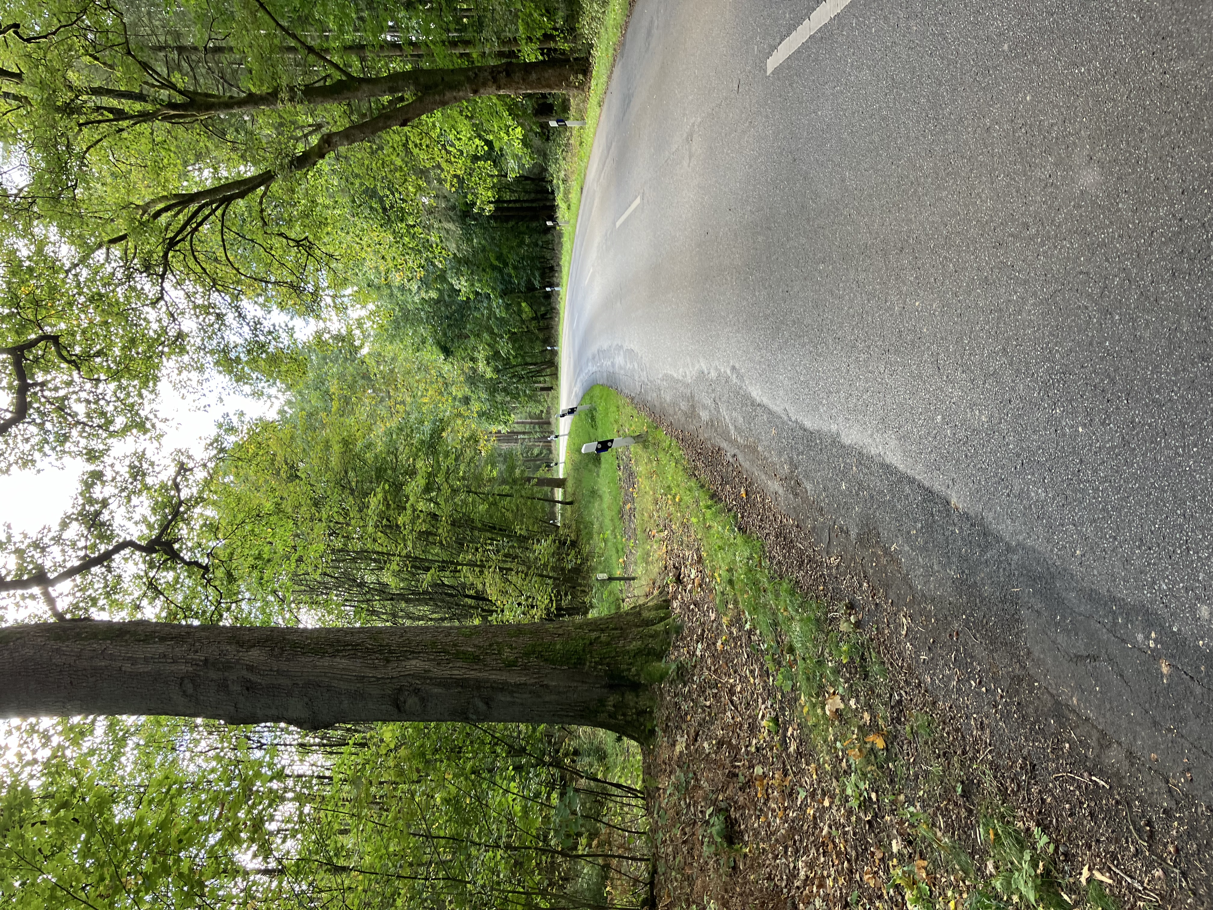 K 17 a - Kreisstraße mit deutlichen Straßenschäden