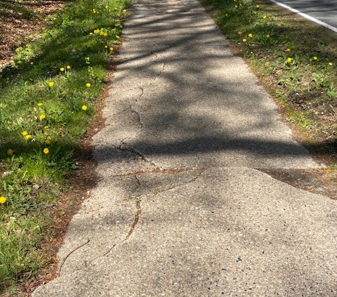 Radweg an der K 164 mit diversen Rissen.
