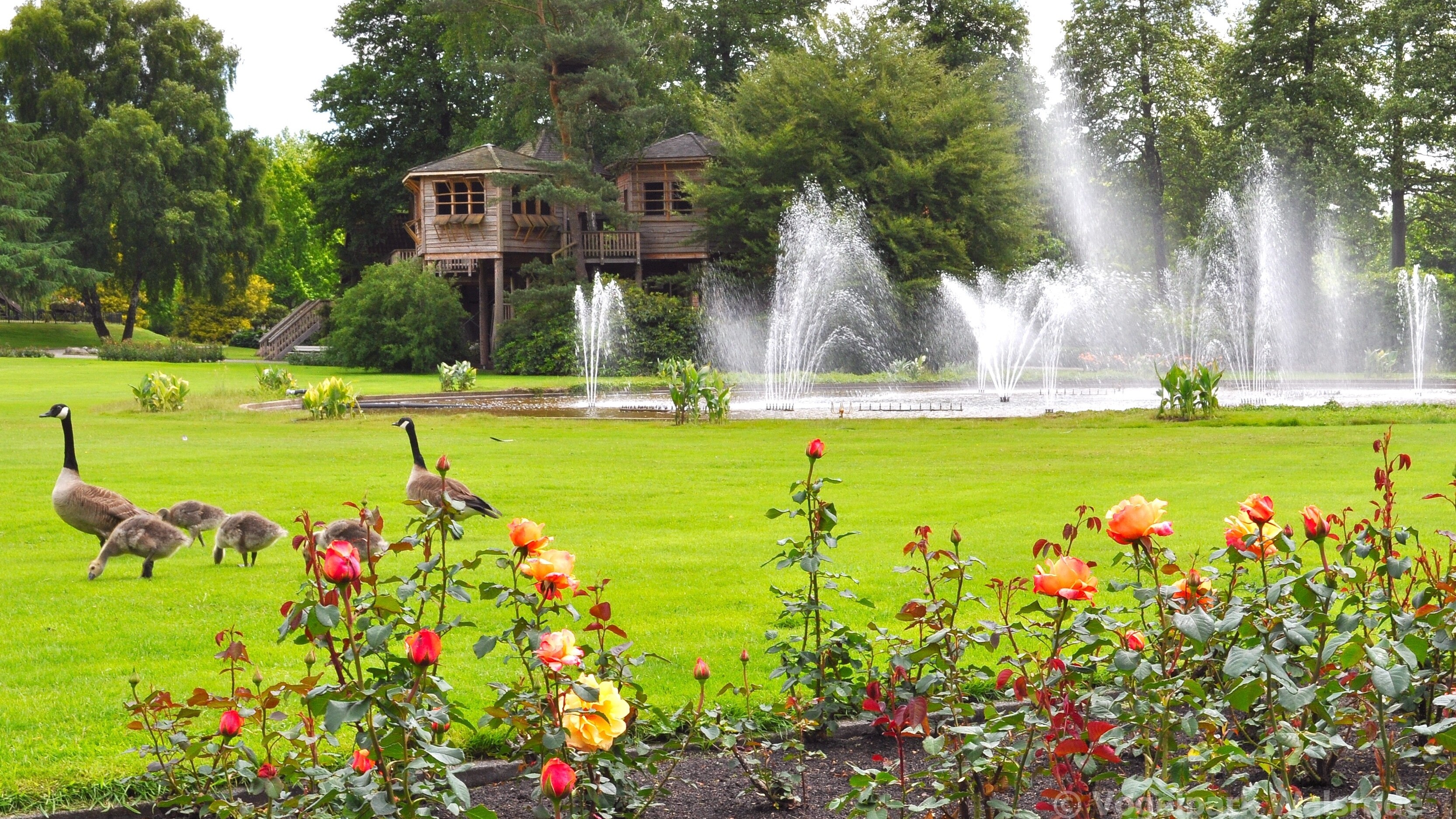 Park mit Springbrunnen im Vogelpark Park mit Springbrunnen im Vogelpark