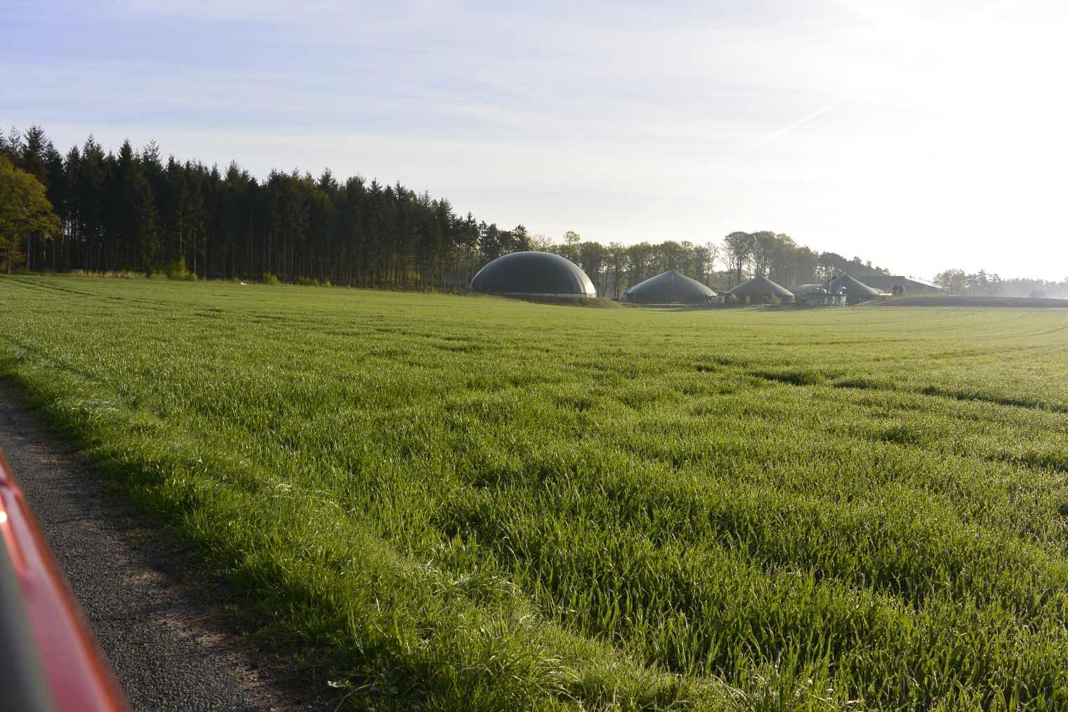 Eingriffe in Natur und Landschaft Eingriffe in Natur und Landschaft